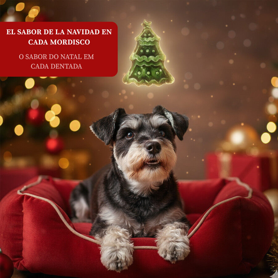 80 g Wonder Christmas Galleta &Aacute;rbol de Navidad para perros, , large Imagen numero 4