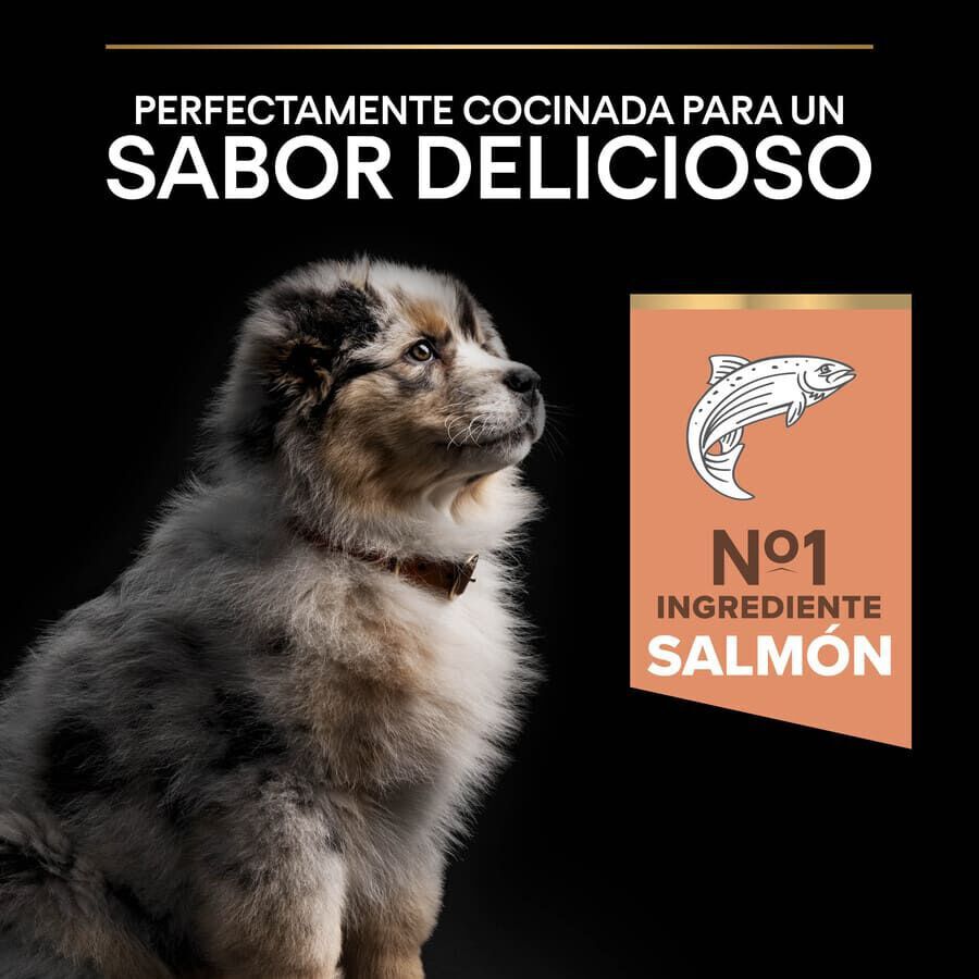 12 kg Pro Plan Puppy Medium Salm&oacute;n Piel sensible pienso para perros, , large indicador imagen numero 7