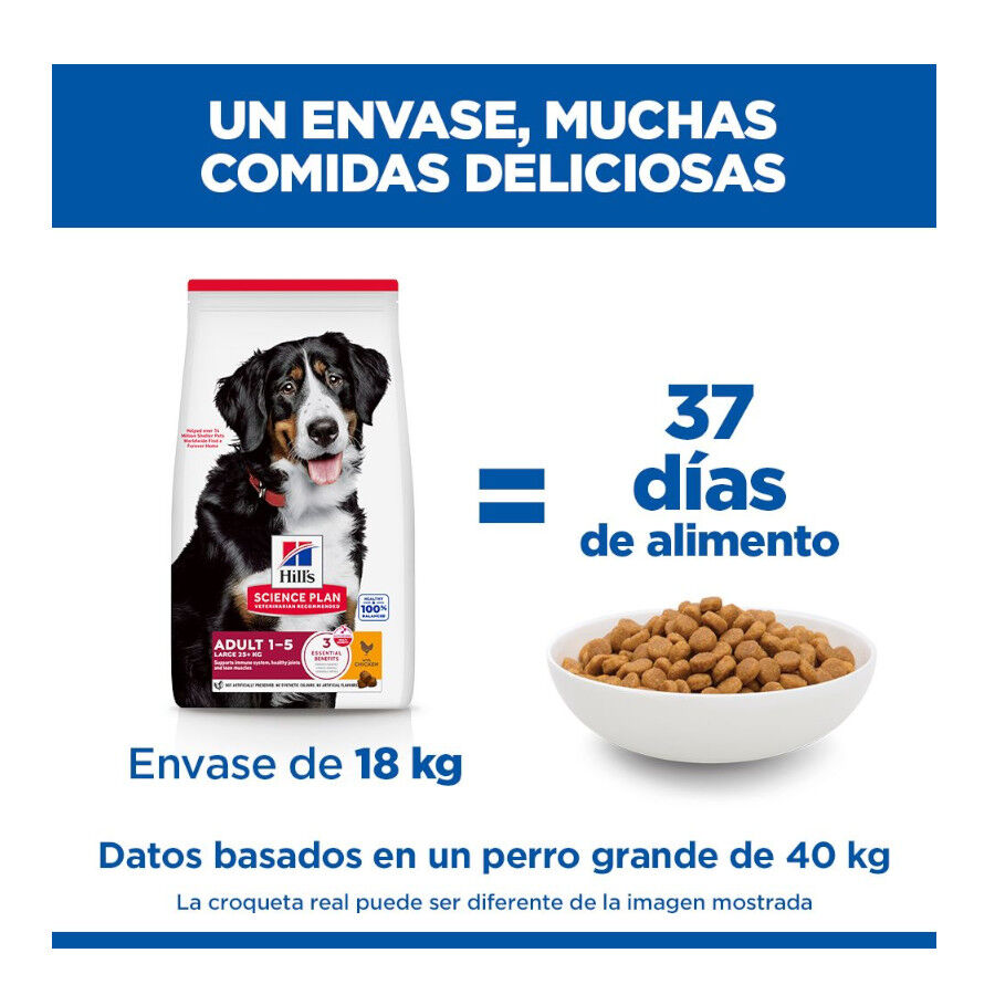 18 kg Hill's Science Plan Adult Large Pollo pienso para perros, , large indicador imagen numero 5
