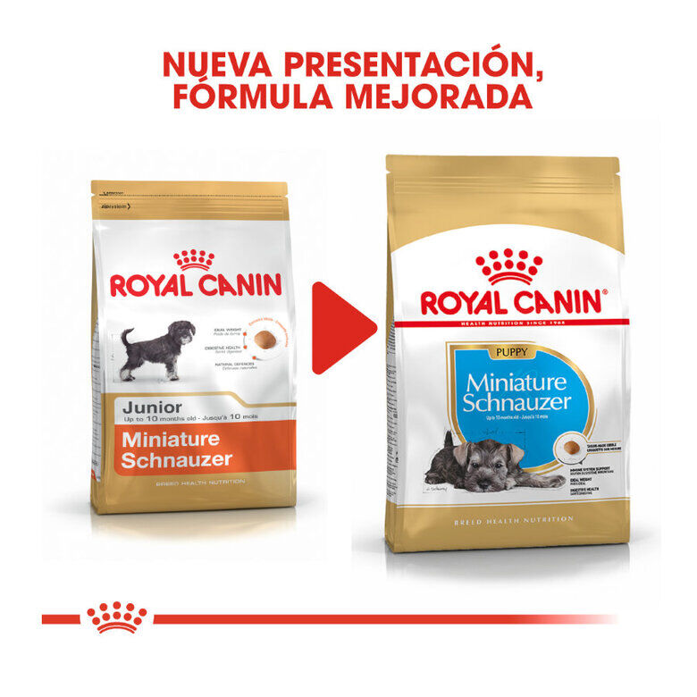 1.5 kg Royal Canin Puppy Miniature Schnauzer pienso para perros, , large Imagen numero 4