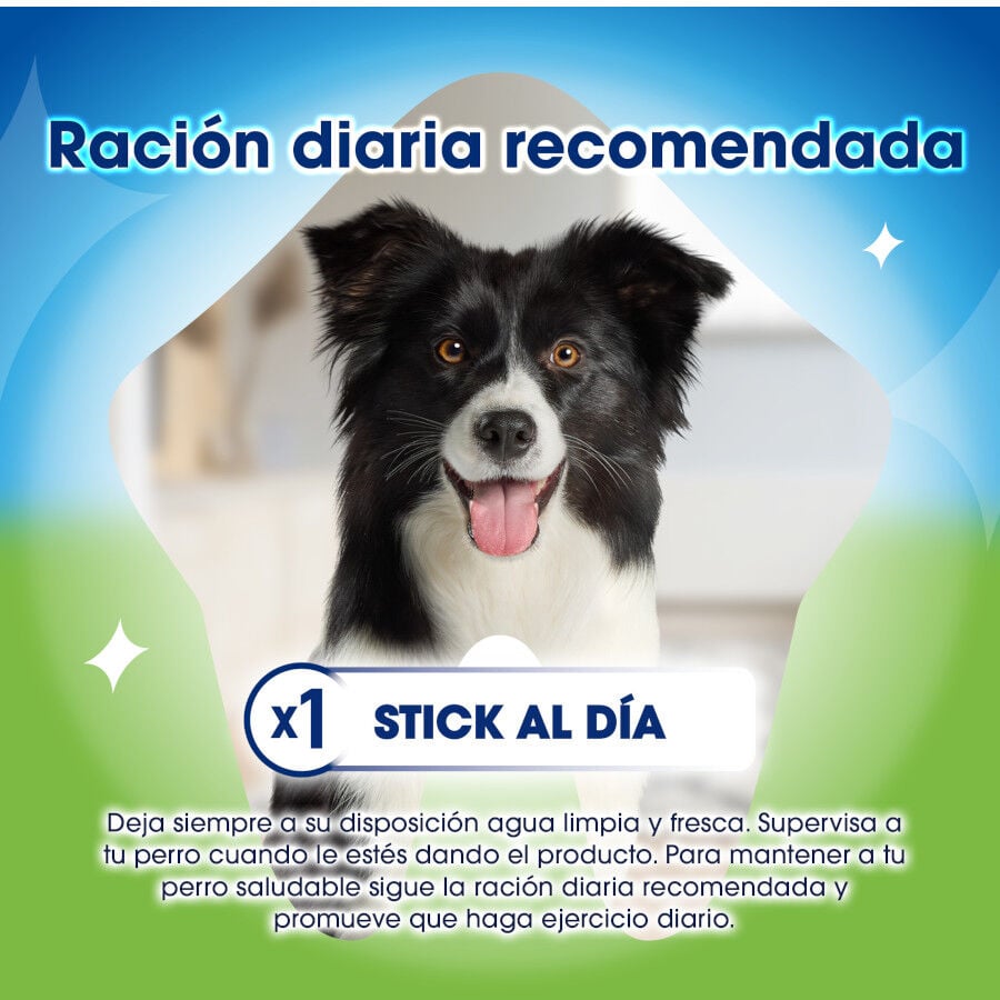 4 barritas Dentalife Snacks Dentales Large ActivFresh para perros, , large indicador imagen numero 4
