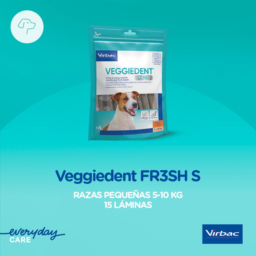 15 barritas Virbac Snacks Dentales Veggiedent Fresh para perros de raza peque&ntilde;a, , large Imagen numero 3