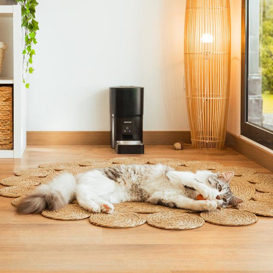 Cecotec Pumba 6000 Purrfect Meal Smart Comedero Autom&aacute;tico para perros y gatos, , large indicador imagen numero 10
