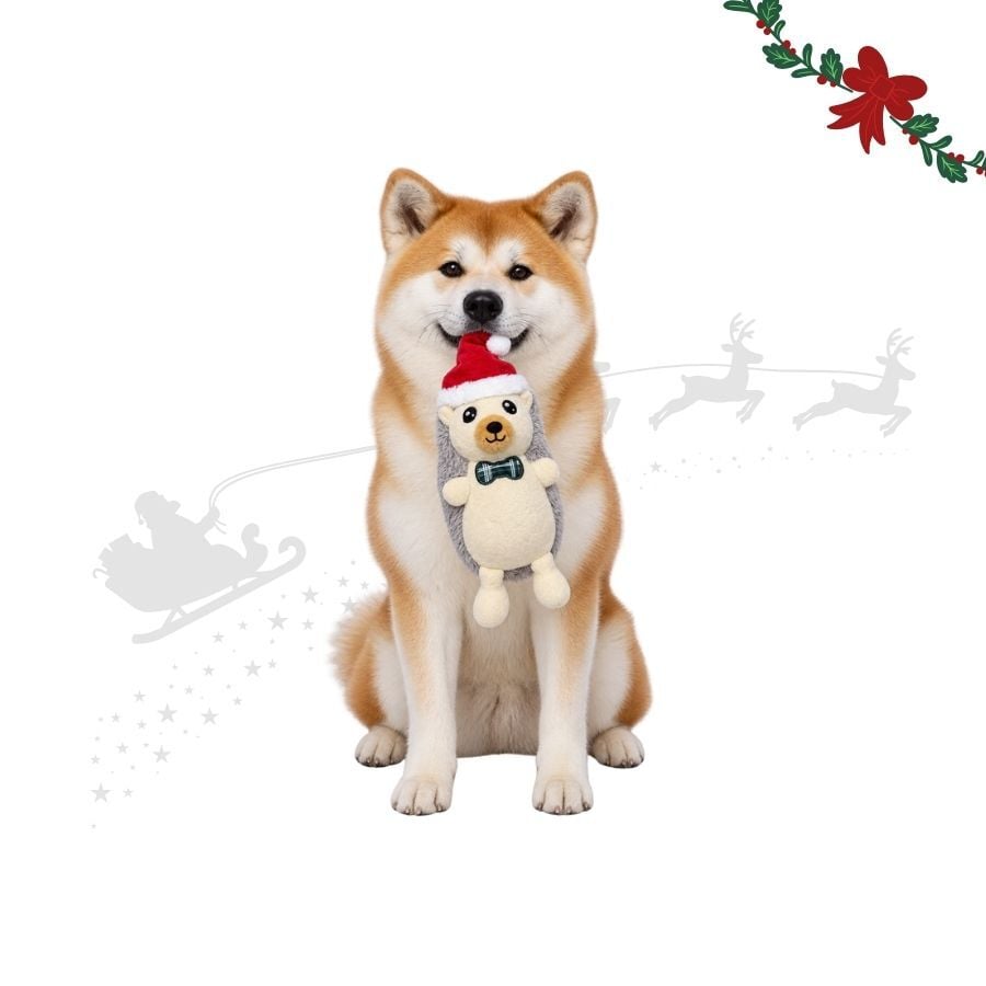 Wonder Christmas Erizo Peluche para perros, , large indicador imagen numero 1