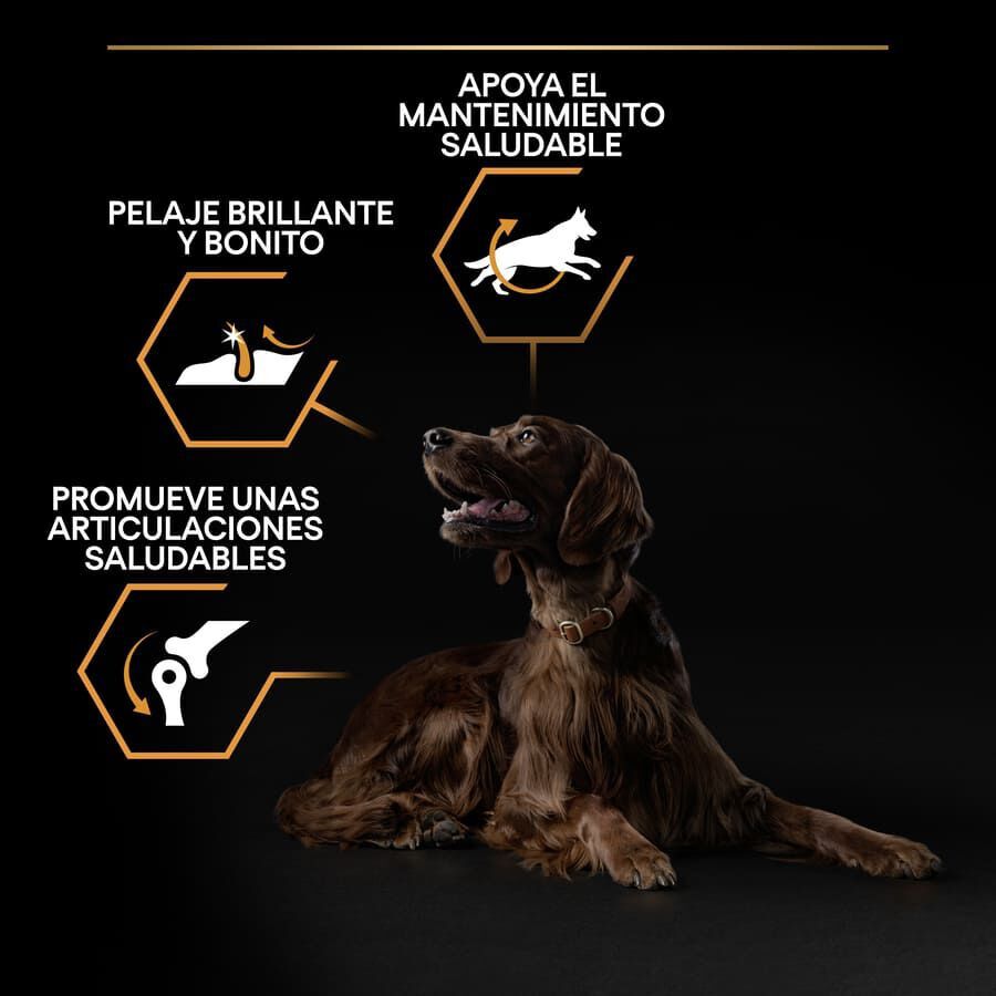 14 kg Pro Plan Large Athletic Adult Pollo pienso para perros, , large Imagen numero 3