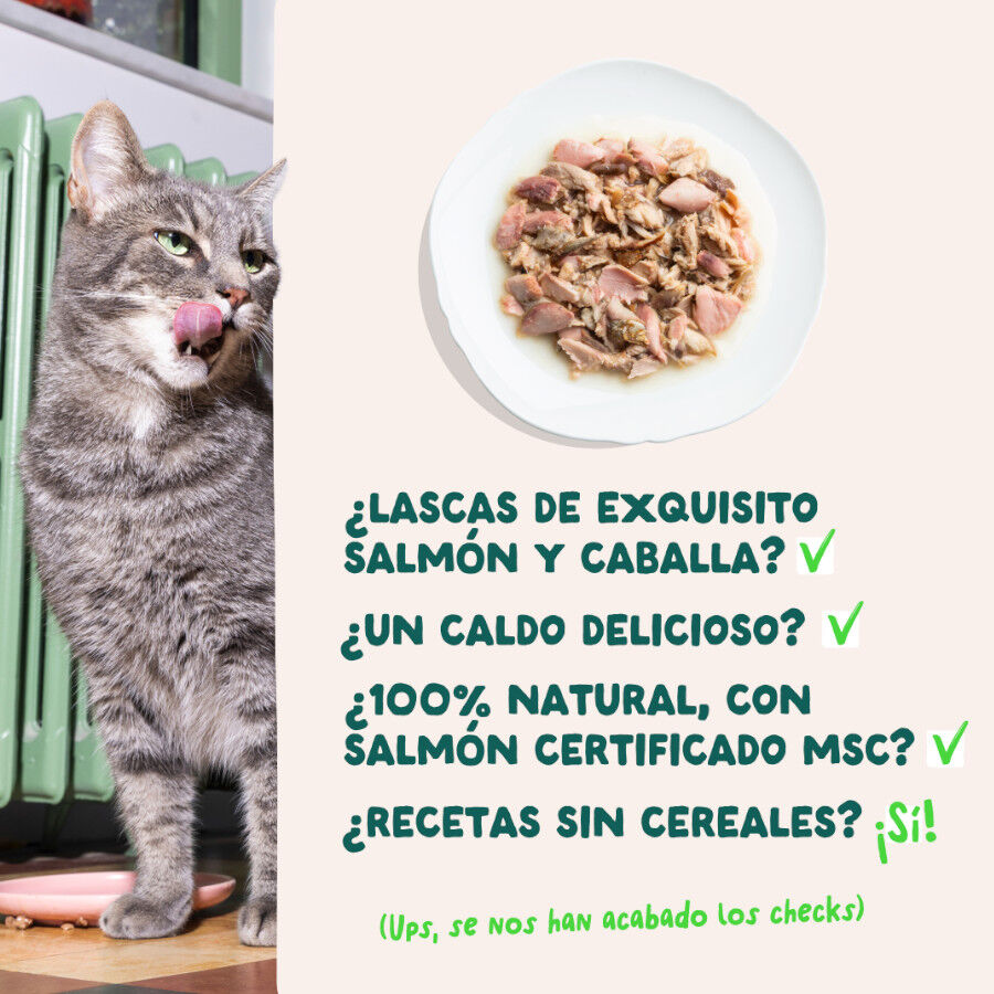 70 g Edgard & Cooper Filetes de Salm&oacute;n y Ceballa Lata para gatos, , large indicador imagen numero 4