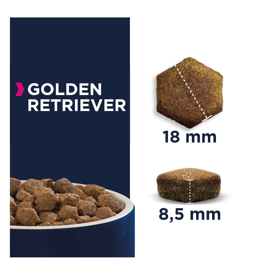 12 kg Eukanuba Adult Golden Retrievers pienso para perros, , large Imagen numero 2