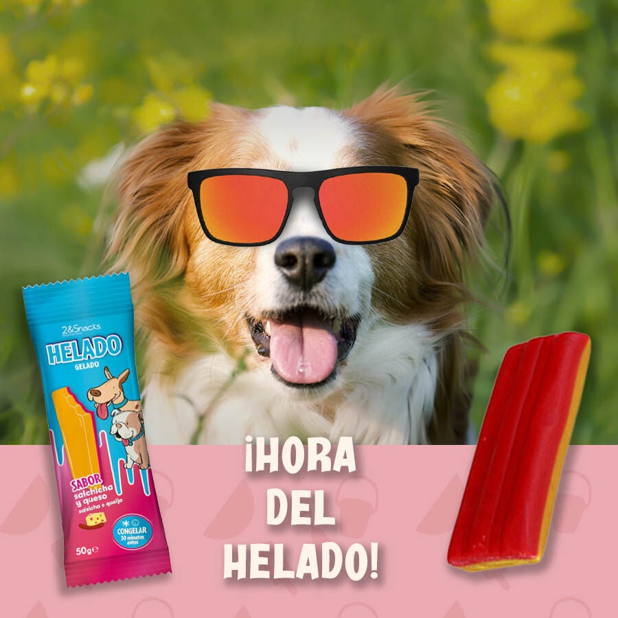 1 ud. 2&Snacks Helado de Salchicha y Queso para perros, , large Imagen numero 2