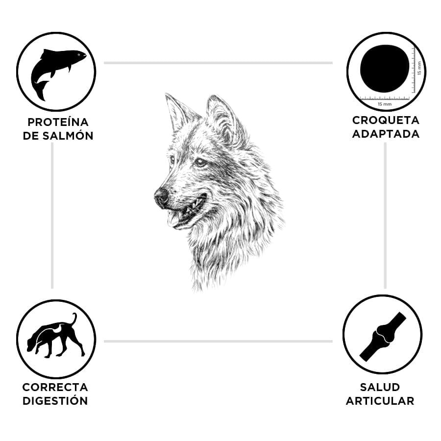 15 kg Criadores Adulto Salm&oacute;n y Arroz pienso para perros de razas medianas y grandes, , large Imagen numero 3