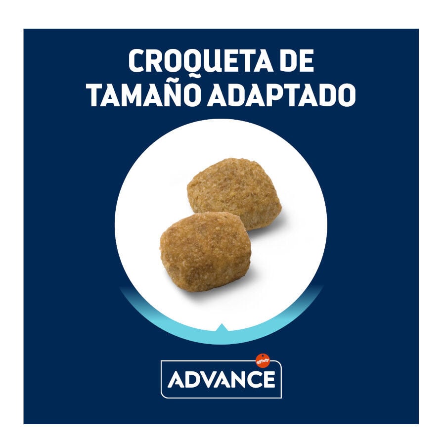 12 kg Advance Active Defense Medium Light Pollo y Arroz pienso para perros, , large Imagen numero 3