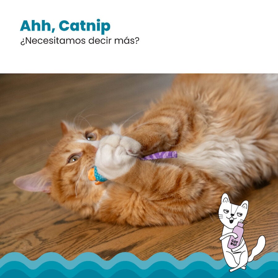 Catstages Chew Rat&oacute;n con Catnip para gatos, , large Imagen numero 3