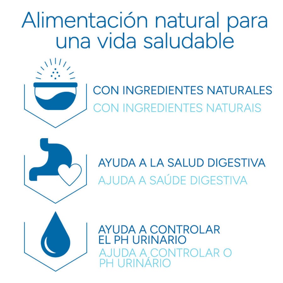2 kg Criadores Cient&iacute;fico Adulto Pollo pienso para gatos, , large indicador imagen numero 6