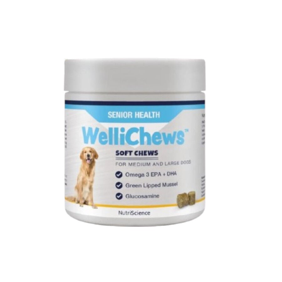 Swedencare Wellichews Suplemento para perros senior, , large Imagen numero 1