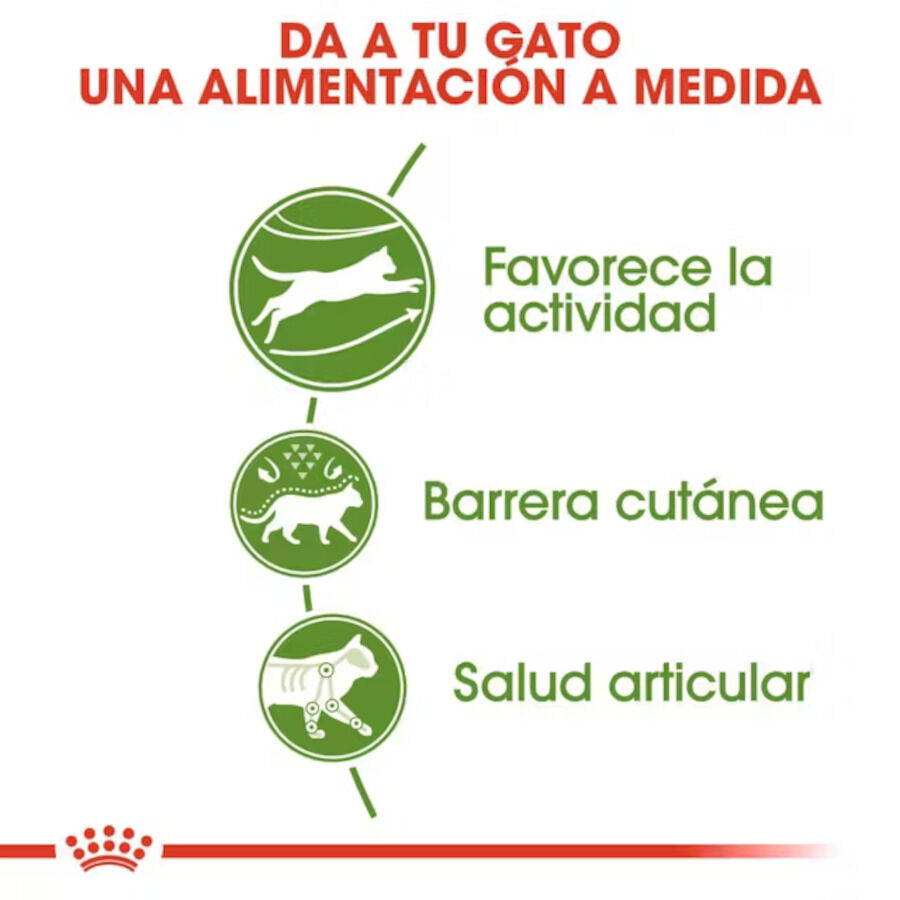 10 kg Royal Canin Active Life Outdoor pienso para gatos, , large indicador imagen numero 4