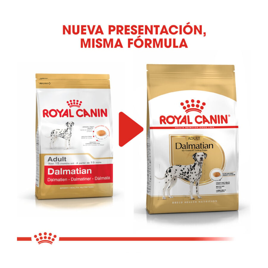 12 kg Royal Canin Adult D&aacute;lmata pienso para perros, , large indicador imagen numero 3