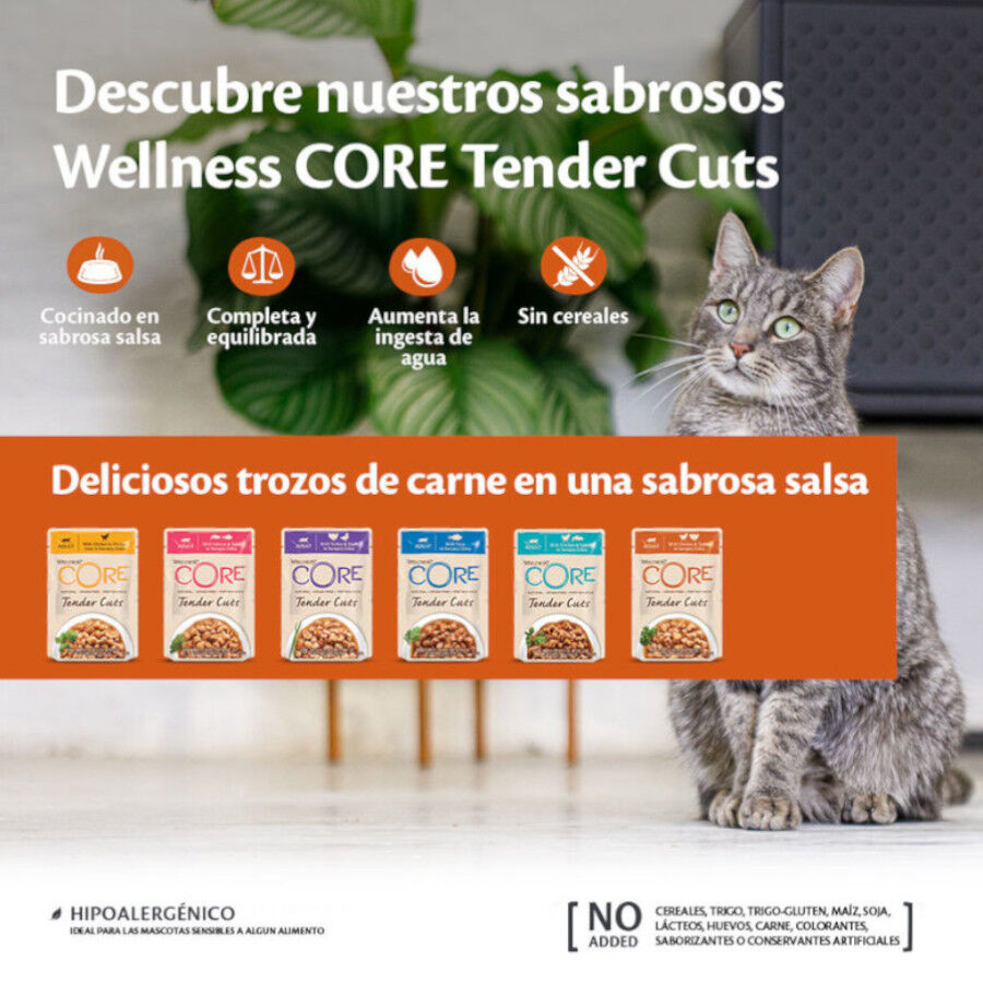 85 g Wellness Core Tender Cuts salm&oacute;n y at&uacute;n sobre en salsa para gatos, , large indicador imagen numero 3