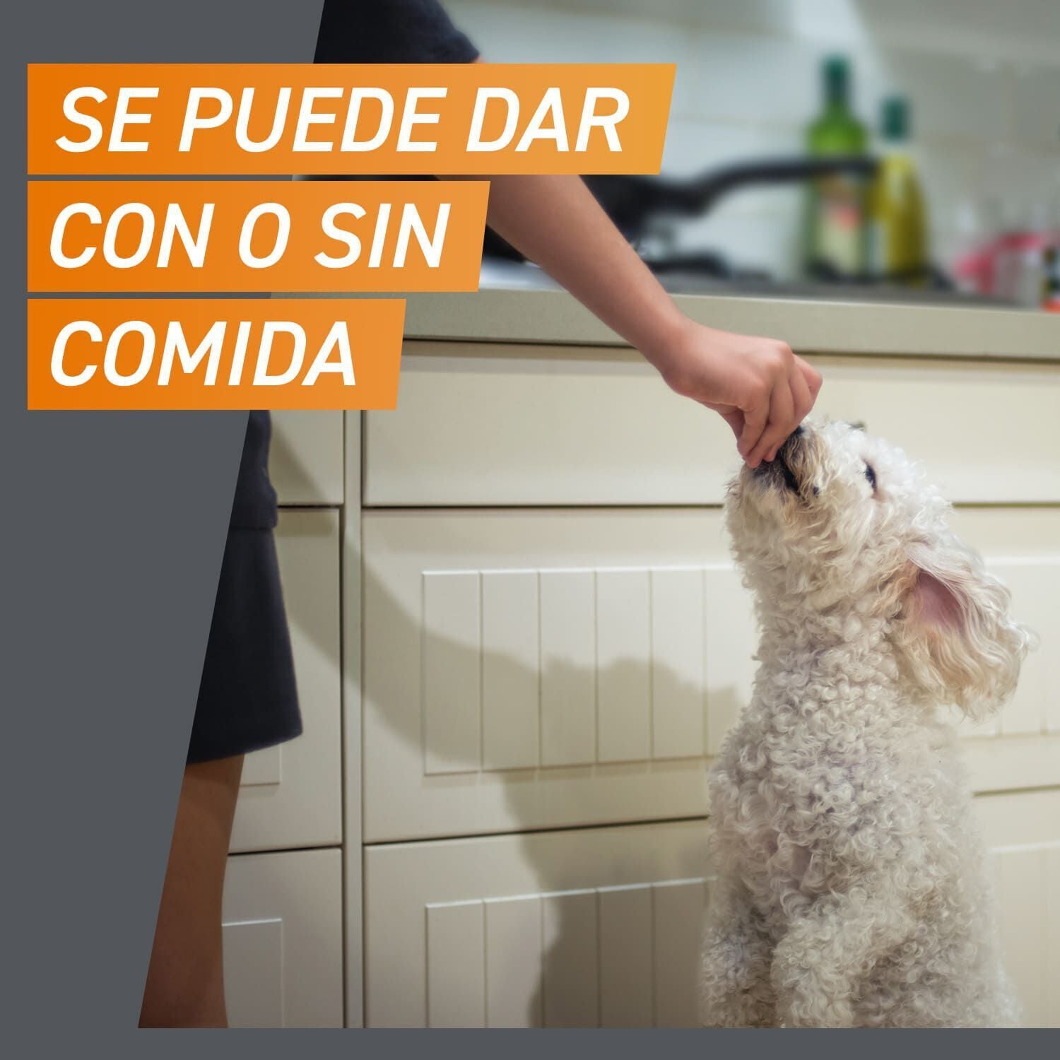 Frontpro Comprimidos Masticables Antiparasitario para perros, , large indicador imagen numero 8