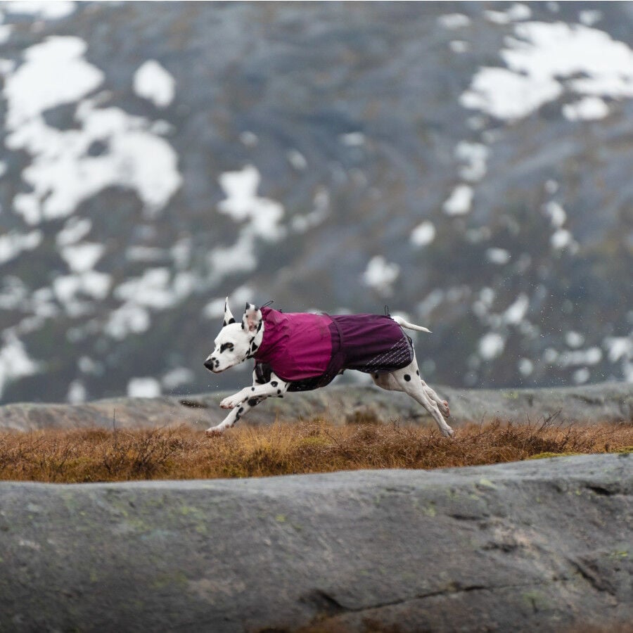 Non-stop dogwear Fjord Chubasquero Impermeable P&uacute;rpura para perros, , large indicador imagen numero 2