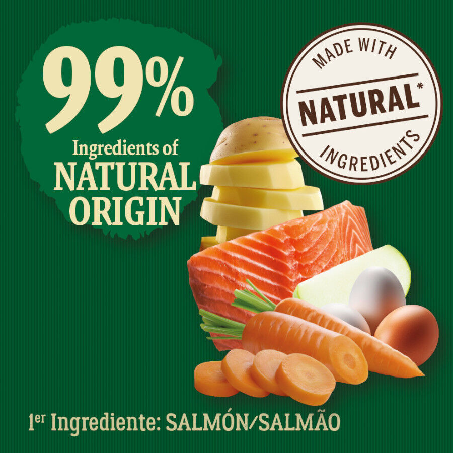 6 kg True Origins Wild Adult Pacific Salm&oacute;n pienso para gatos, , large indicador imagen numero 3
