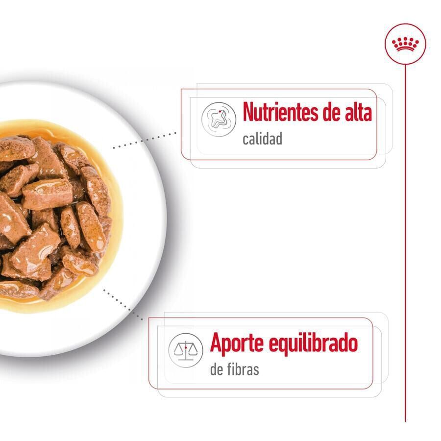 140 g Royal Canin Maxi Adult Carne sobre en salsa para perros, , large Imagen numero 6