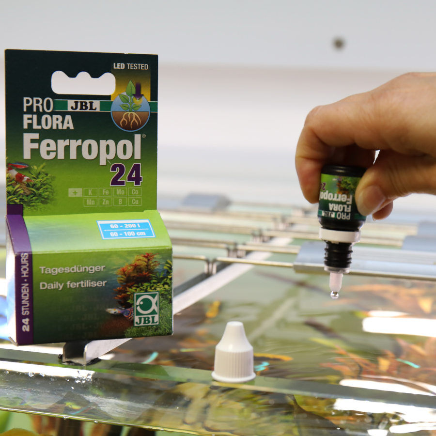 JBL ProFlora Ferropol 24 Fertilizante para Plantas Acu&aacute;ticas para acuarios, , large indicador imagen numero 3