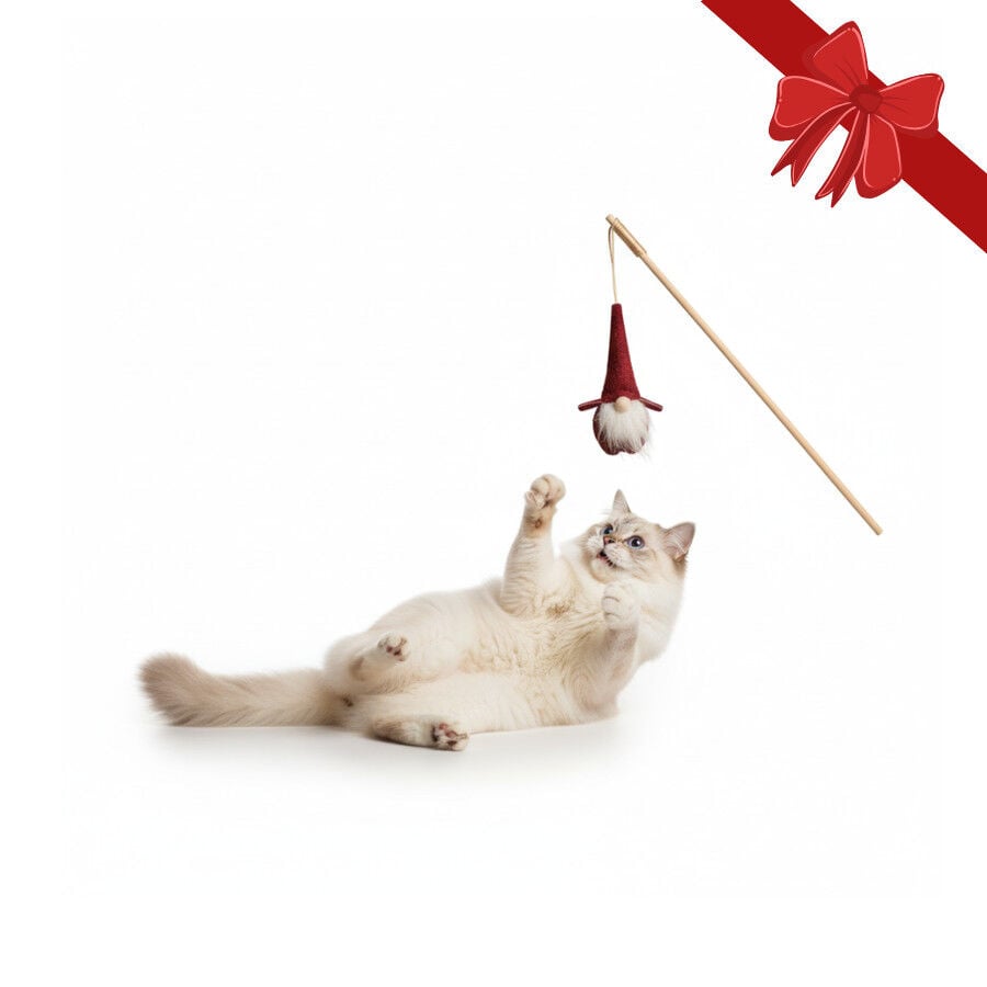 Wonder Christmas Juguete de Ca&ntilde;a Santa Navide&ntilde;o para gatos, , large indicador imagen numero 1