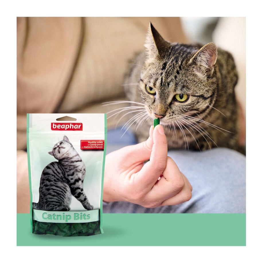 150 g Beaphar Bocaditos con Catnip para gatos, , large indicador imagen numero 3