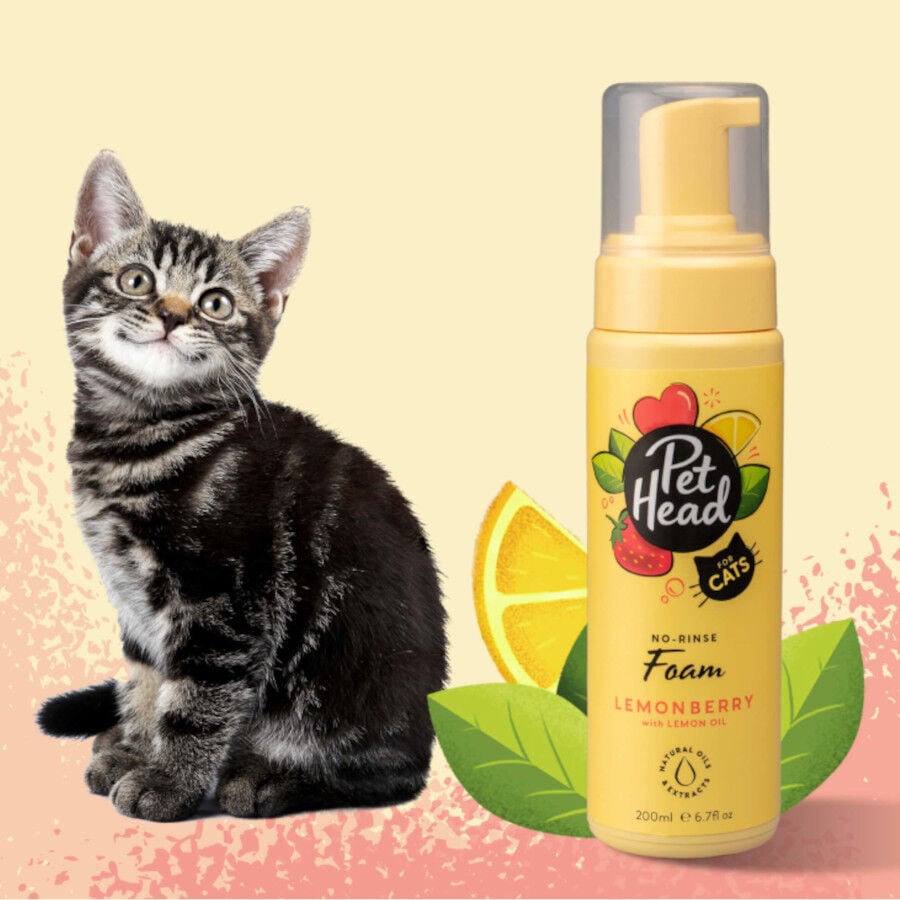 Pet Head champ&uacute; en seco de fresa/lim&oacute;n para gatos, , large indicador imagen numero 2