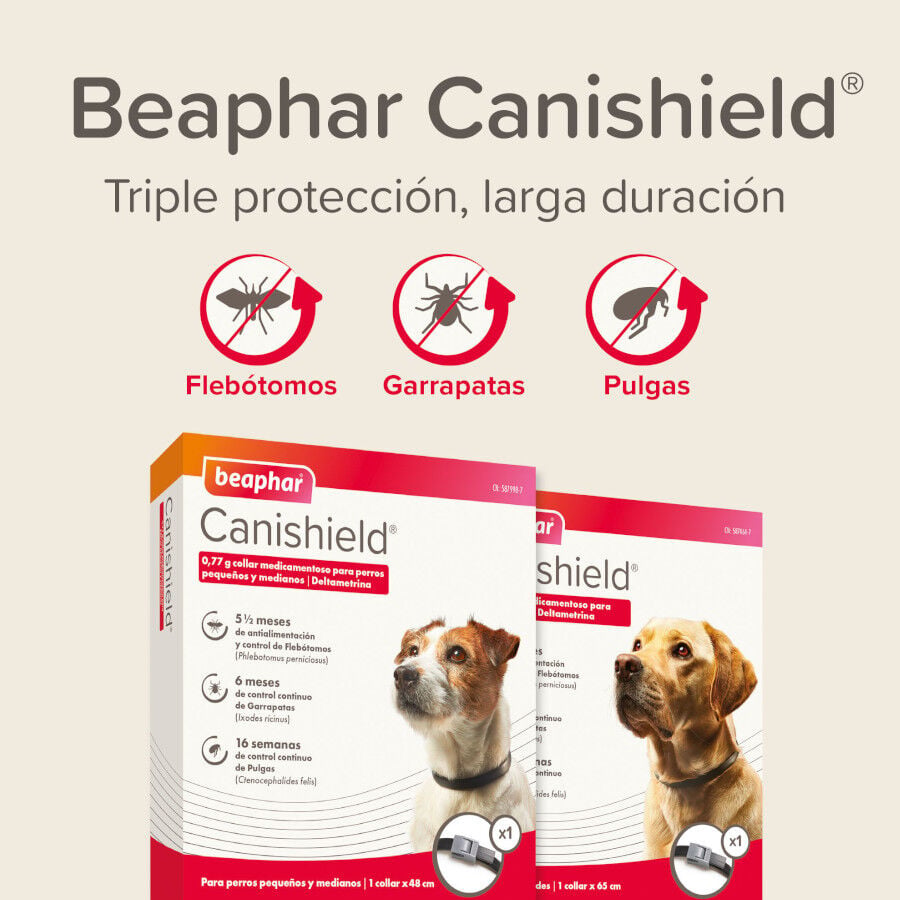Beaphar Canishield Collar Antiparasitario para perros, , large indicador imagen numero 7