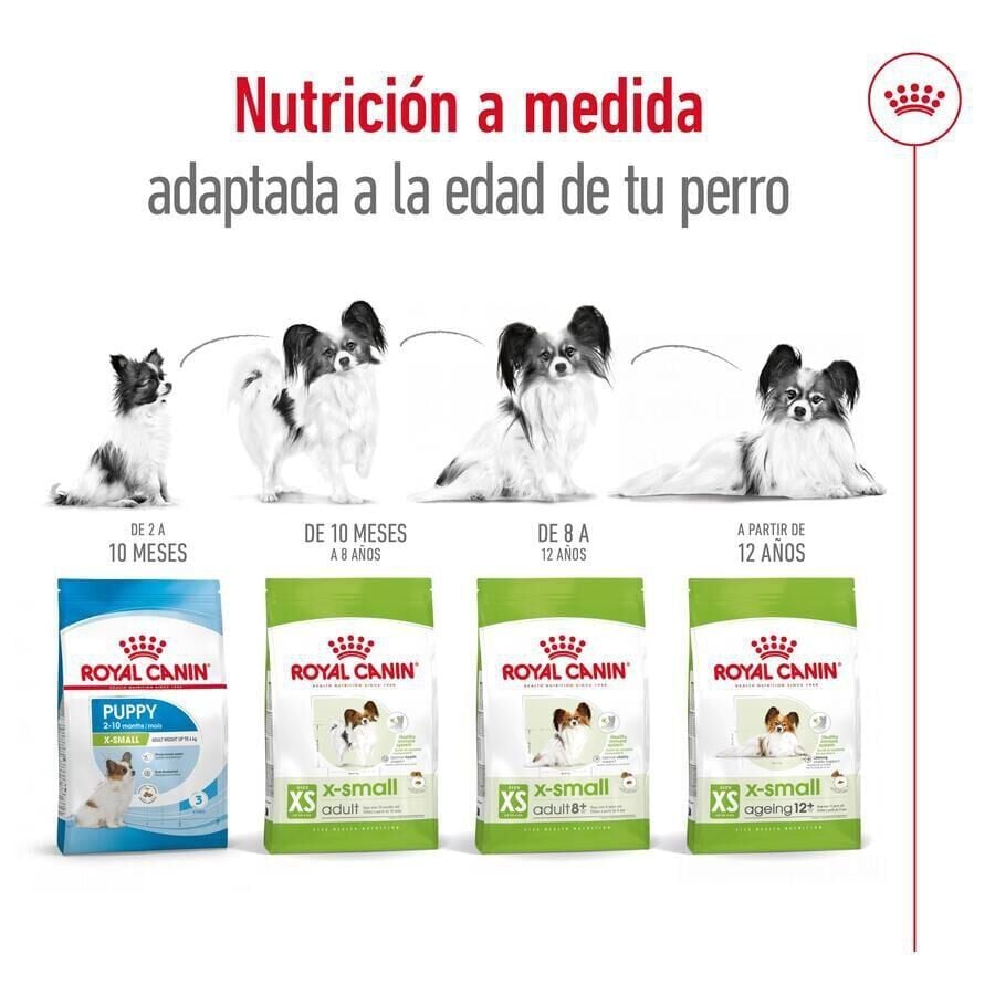 3 kg Royal Canin X-Small Adult pienso para perros, , large indicador imagen numero 11
