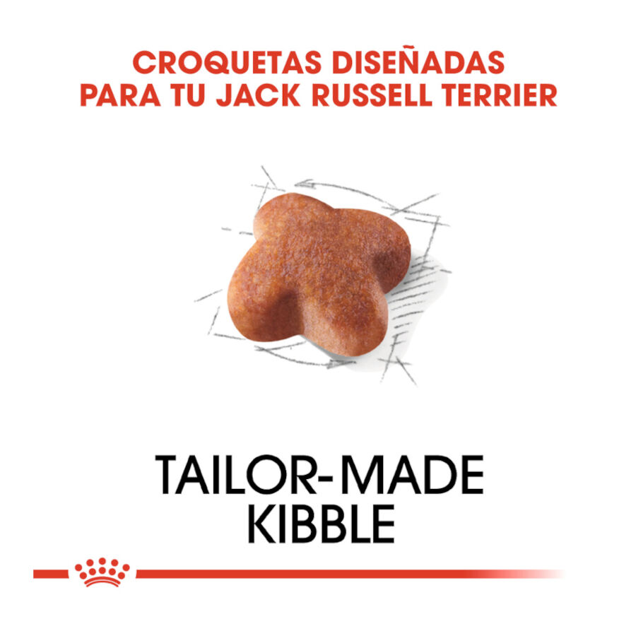 7.5 kg Royal Canin Adult Jack Russell Terrier pienso para perros, , large Imagen numero 5