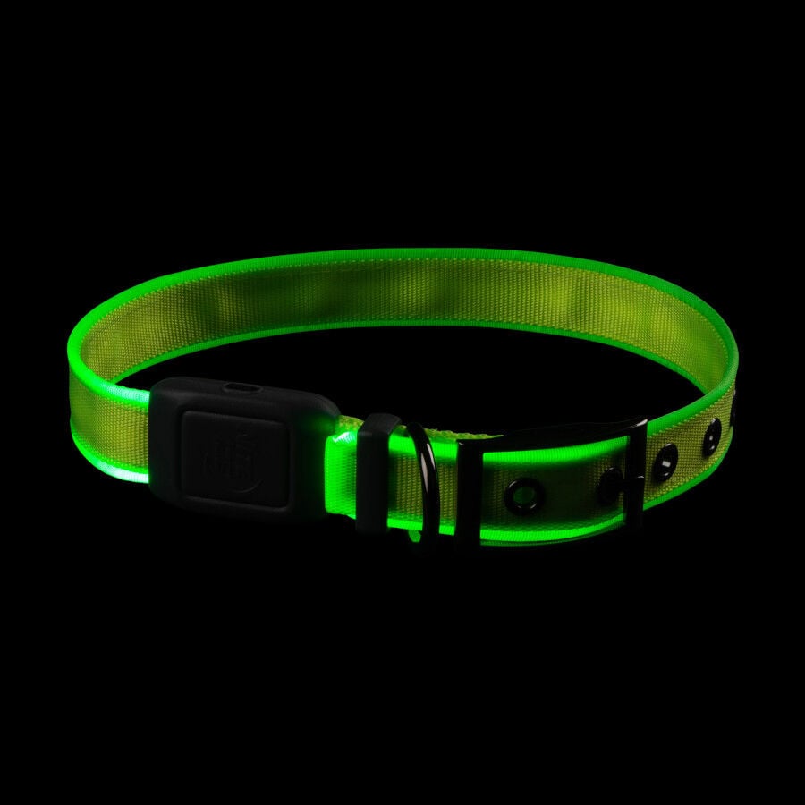 Nite Ize NiteDog Collar Led Recargable Verde para perros, , large Imagen numero 3