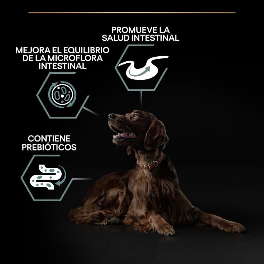 14 kg Pro Plan Adult Large Athletic Digesti&oacute;n Cordero pienso para perros, , large indicador imagen numero 9