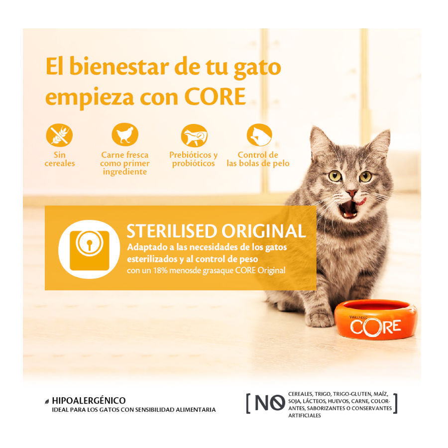 4 kg Wellness Core Adult Sterilised Pollo y Pavo pienso para gatos, , large Imagen numero 2