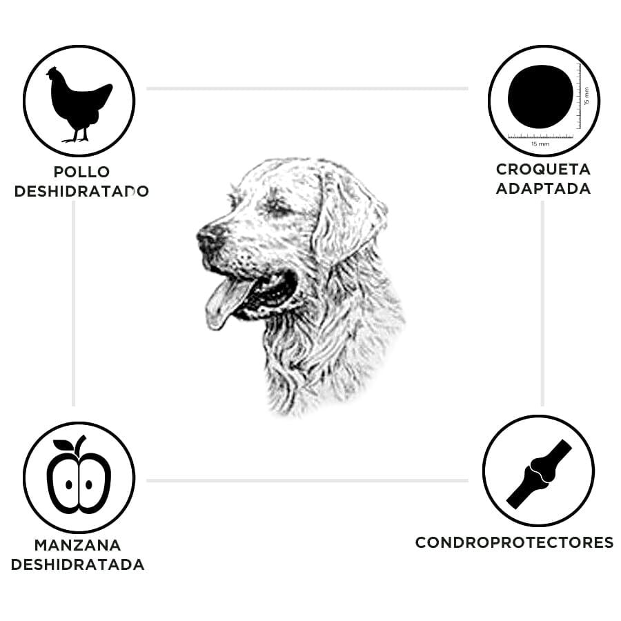 15 kg Criadores Senior Pollo y Arroz pienso para perros de razas medianas y grandes, , large Imagen numero 3
