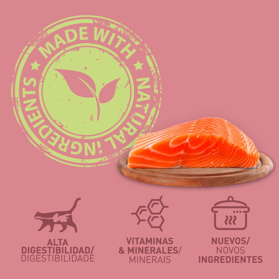 400 g Catzilla Adult Grain Free Salm&oacute;n en Pat&eacute; lata para gatos, , large indicador imagen numero 3