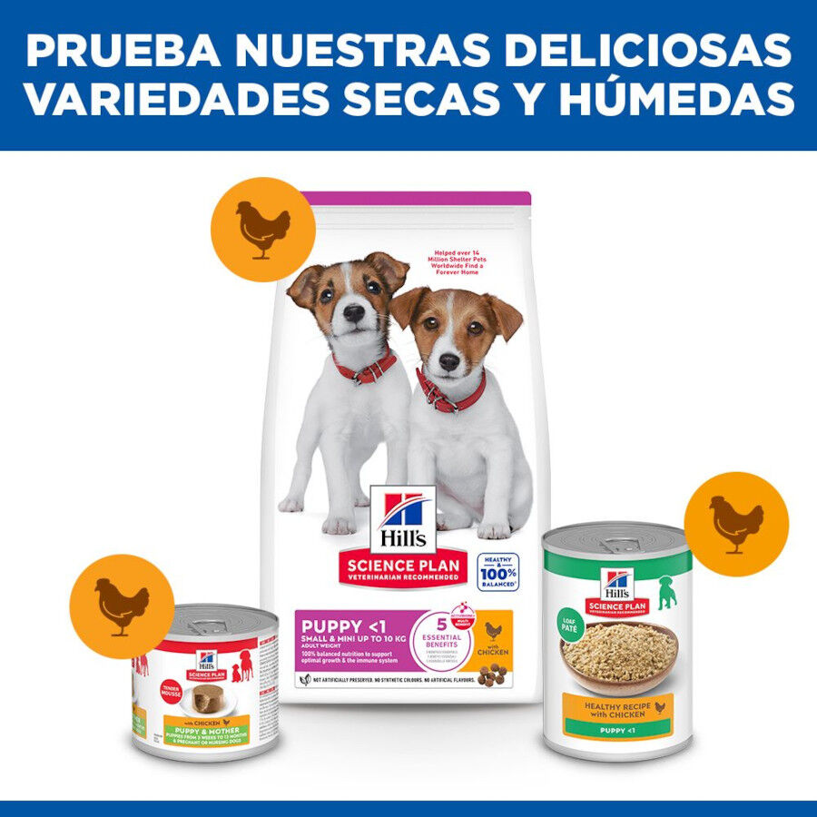 6 kg Hill's Science Plan Puppy Small y Mini Pollo Pienso para cachorros, , large indicador imagen numero 8