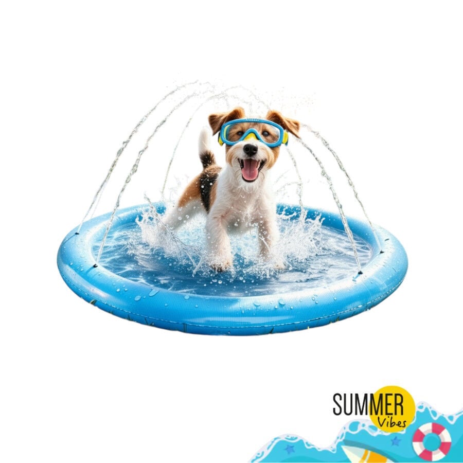 Summer Vibes Piscina con chorros para perros, , large indicador imagen numero 6