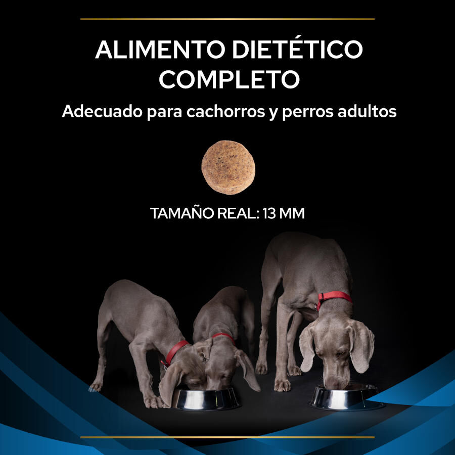 12 kg Pro Plan Veterinary Diets Dermatosis pienso para perros, , large indicador imagen numero 3