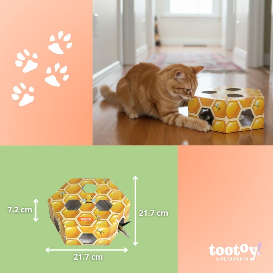 Tootoy! Panal de abeja interactivo con plumas para gatos, , large Imagen numero 4