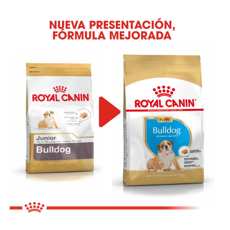 12 kg Royal Canin Puppy Bulldog pienso para perros, , large Imagen numero 3