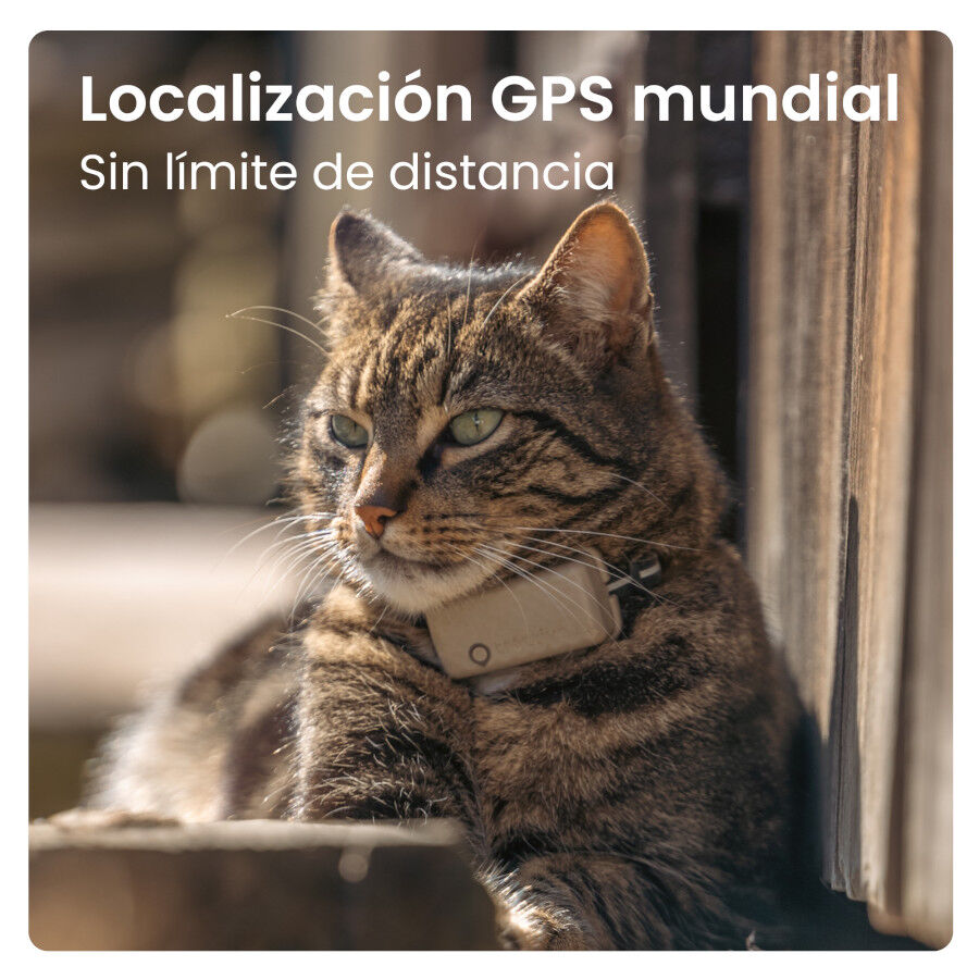 Tractive Cat Mini Localizador GPS Marr&oacute;n para gatos, , large Imagen numero 4