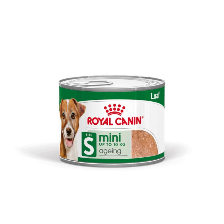 195 g Royal Canin Mini 8+ Ageing lata para perros&nbsp;senior, , large Imagen numero 1