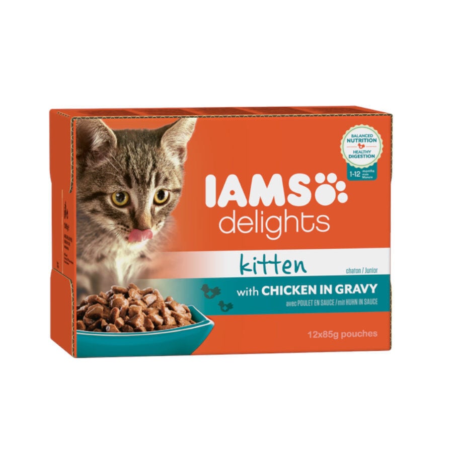 12 sobres x 85 g IAMS Delights Pollo en salsa sobre para gatitos , , large Imagen numero 1