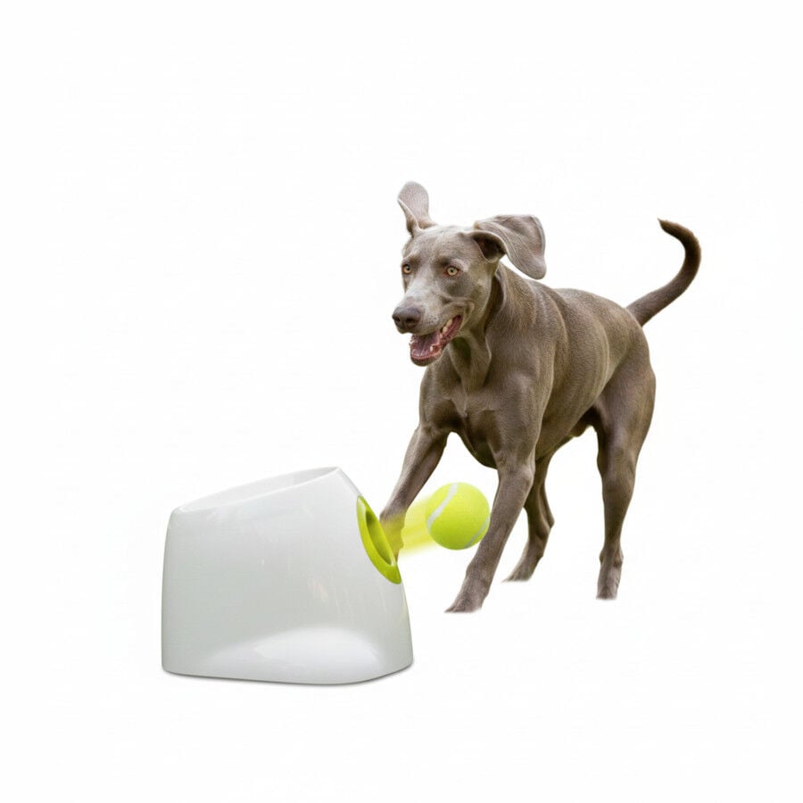 All For Paws Interactives Lanzador Pelotas para perros, , large indicador imagen numero 3
