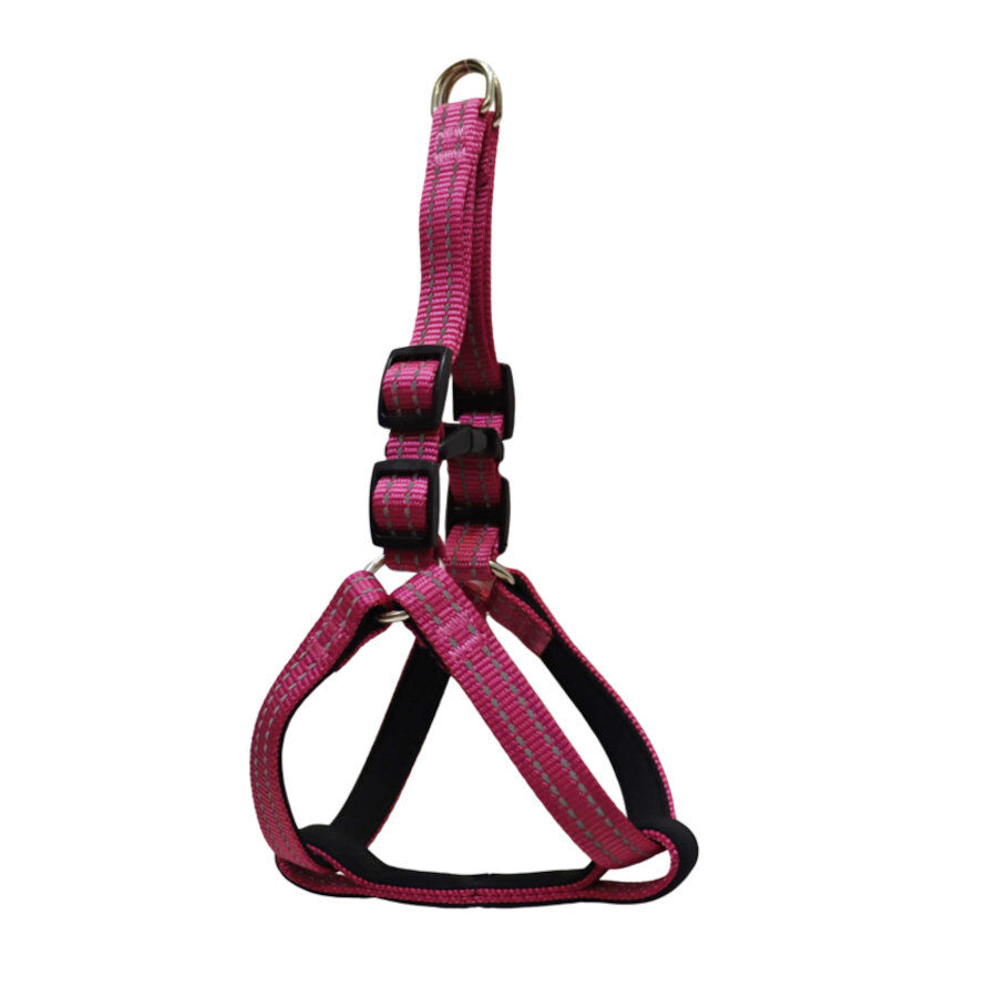 Gotoo Arn&eacute;s reflectante de neopreno rosa para perros, , large indicador imagen numero 1