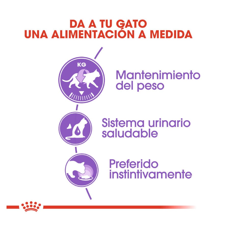 85 g Royal Canin Feline Sterilised Salsa sobres para gato, , large Imagen numero 5