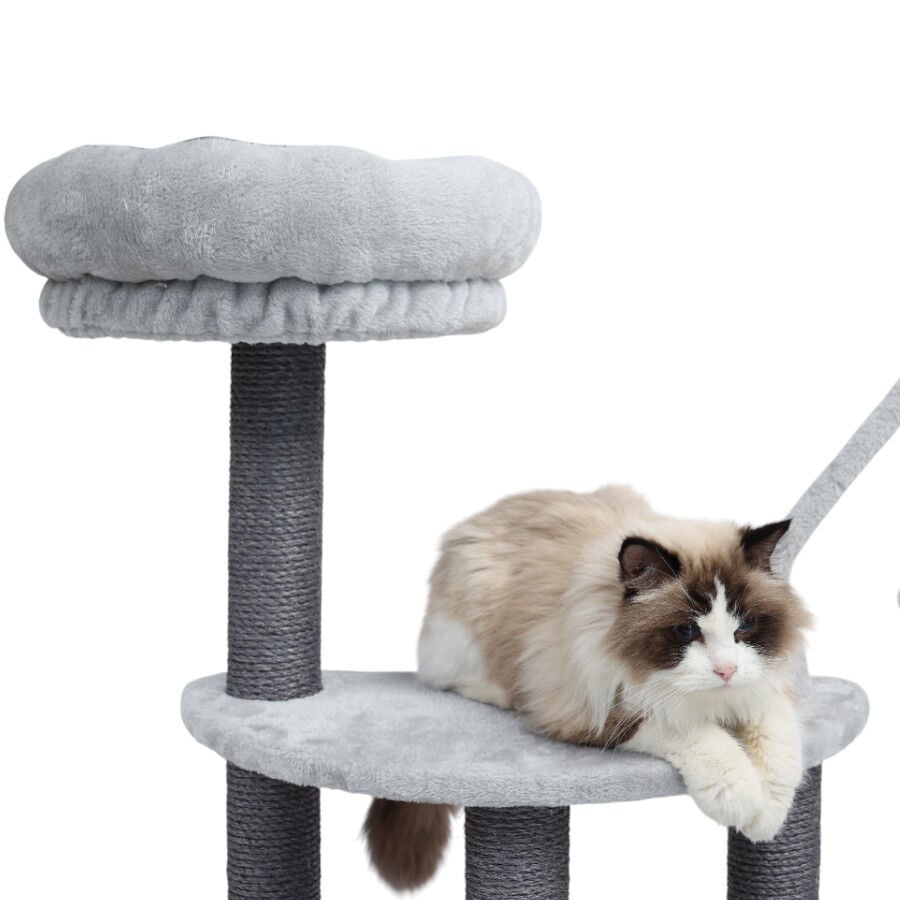 Leeby Kenzo &aacute;rbol rascador con cama para gatos, , large Imagen numero 3