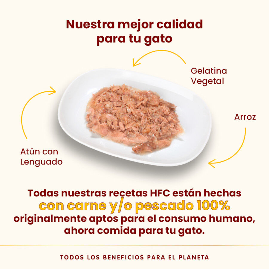 55 g Almo Nature HFC At&uacute;n con Lenguado en Gelatina sobre para gatos, , large Imagen numero 3