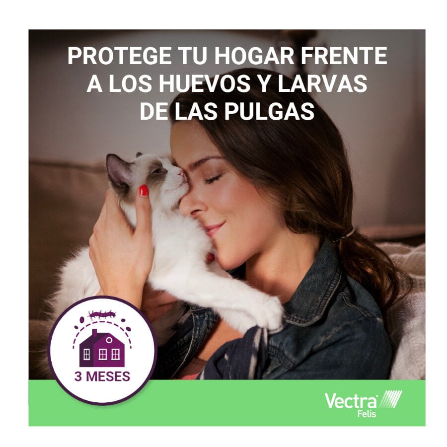 Antiparasitario externo Vectra Felis para gato indicador imagen numero 4
